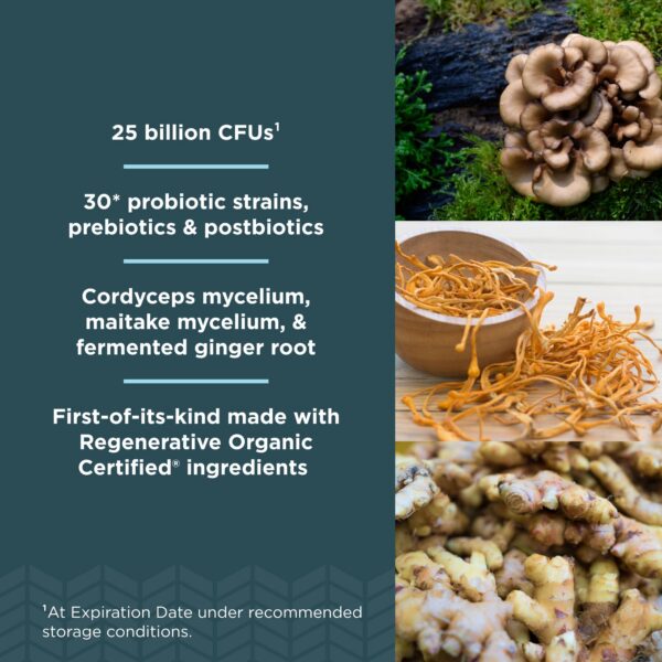 Suplemento Ancient Nutrition con 30 cepas probióticas