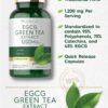 Version 1.0.0 Suplemento antioxidante Carlyle extracto té verde EGCG natural