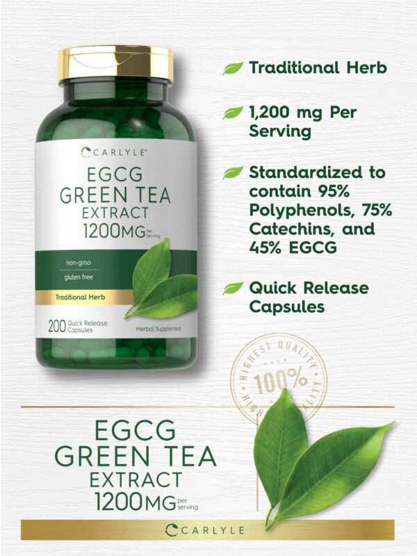 Version 1.0.0 Suplemento antioxidante Carlyle extracto té verde EGCG natural
