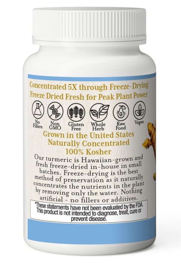 Suplemento antioxidante cúrcuma liofilizada 395 mg 90 cápsulas