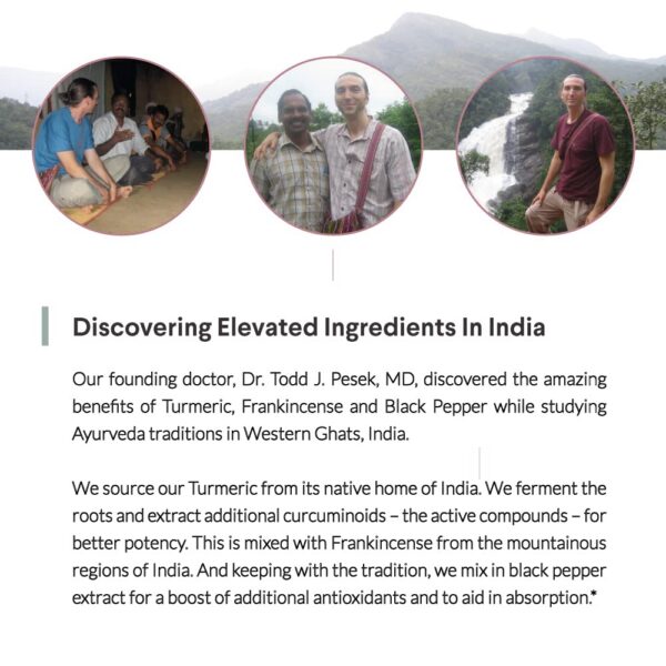 Suplemento antioxidante cúrcuma longa pimienta negra incienso