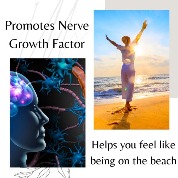 Suplemento antioxidante melena de león BioImmune 120 caps