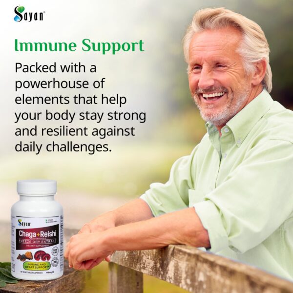 Suplemento antioxidante de setas de chaga y reishi para inmunidad