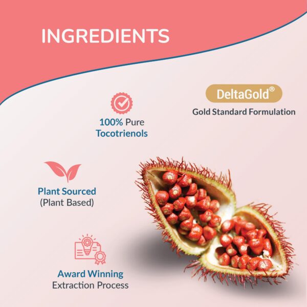 Suplemento antioxidante vitamina e WELLNESS EXTRACT 125mg