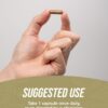 Suplemento antioxidantes cordyceps 240 cápsulas vegetales