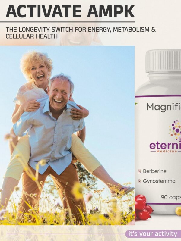 Suplemento apoyo mitocondrial y longevidad health