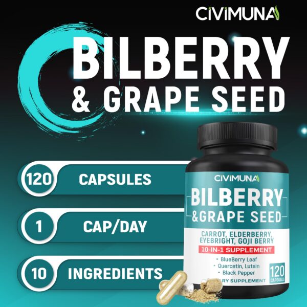 Version 1.0.0 Suplemento de arándano con ingredientes naturales