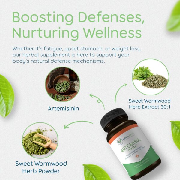 Suplemento Artemisia Trinity para apoyo digestivo y resistencia celular