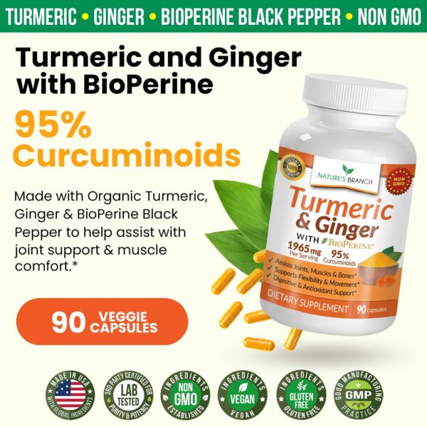 Version 1.0.0 Suplemento para articulaciones Nature's Branch con bioPerine