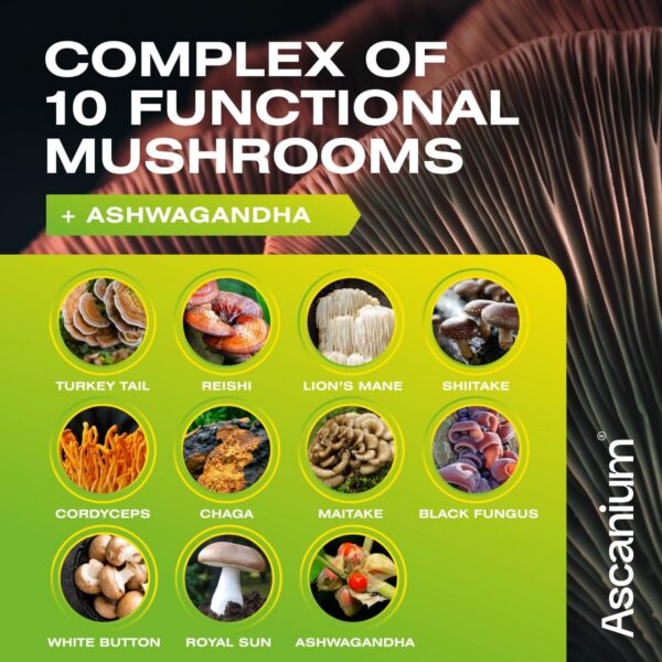Suplemento Ascanium Melena de León 10 hongos beneficios