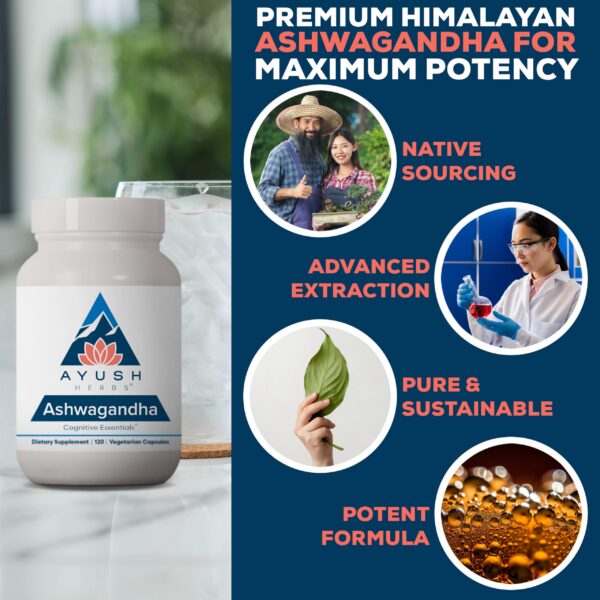 Suplemento Ashwagandha raíz pura y concentrada Ayush Herbs