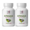 Suplemento de Astrágalo para bienestar general y energía diaria