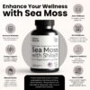 Suplemento Atlantic Naturals Sea Moss y superalimentos integrales