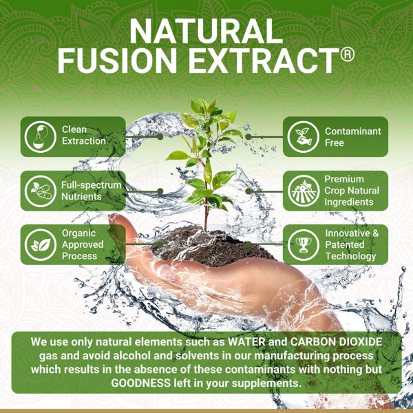 Version 1.0.0 Suplemento Ayurveda Organic Amla vitamina C vegano 60 cápsulas