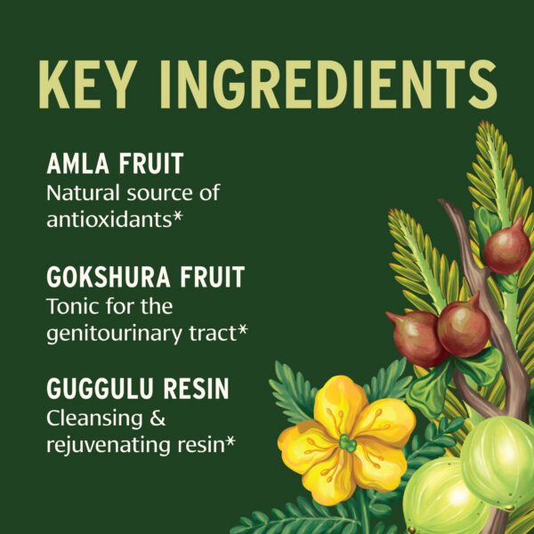 Suplemento ayurvédico orgánico apoyo riñones y vejiga