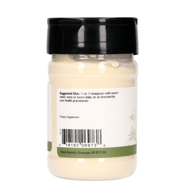 Suplemento ayurvédico Shatavari polvo orgánico 2.89 oz