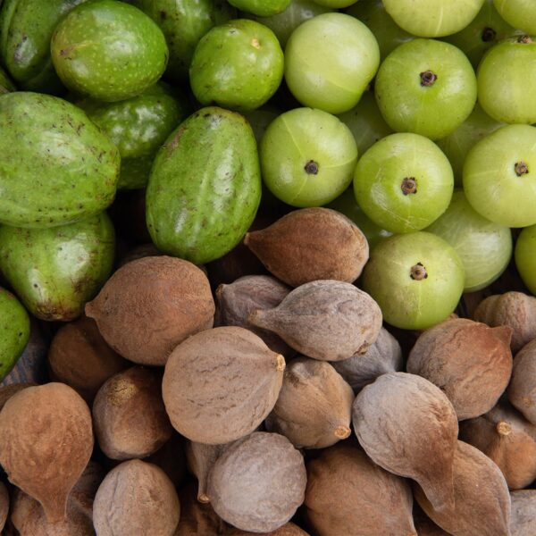 Version 1.0.0 Suplemento ayurvédico triphala con amla, haritaki y bibhitaki