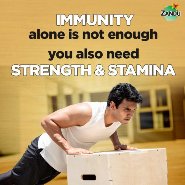 Suplemento ayurvédico Zandu Shilajitprash 47 hierbas