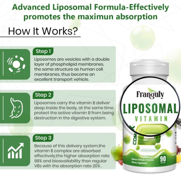 Version 1.0.0 Suplemento B complejo Franguly con colina e inositol