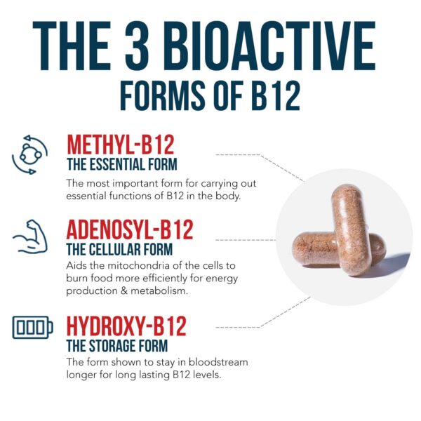 Suplemento b12 BioActive con metilfolato cofactor