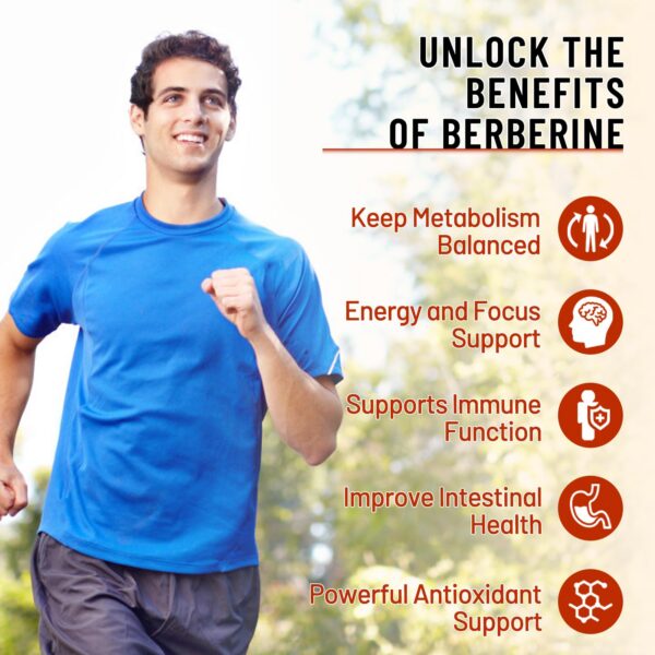 Version 1.0.0 Suplemento berberina 1500mg Vazatisi imagen lateral