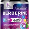 Suplemento Berberina HCL 1200mg cápsulas vegetales