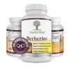Version 1.0.0 Caja y cápsulas suplemento berberina Simply Natures Pure para metabolismo