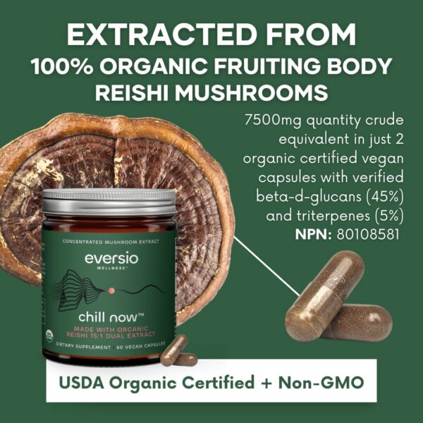 Suplemento bienestar cápsulas veganas reishi orgánico eversio wellness