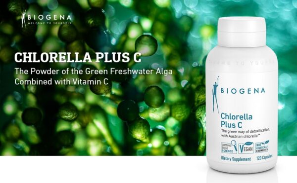 Version 1.0.0 Suplemento Biogena alga verde chlorella con proteína y ácido fólico