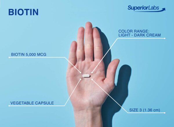 Suplemento biotina pura Superior Labs sin aditivos 5000 mcg
