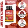 Suplemento Boswellia para bienestar general