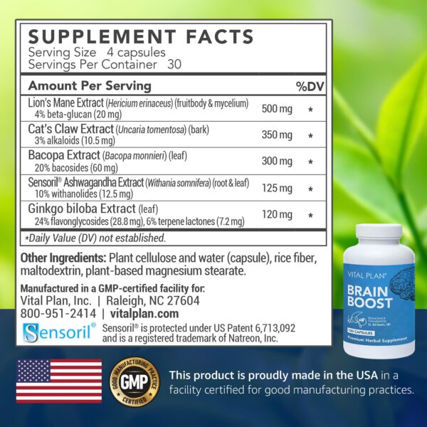 Version 1.0.0 Suplemento Brain Boost Vital Plan ingredientes naturales