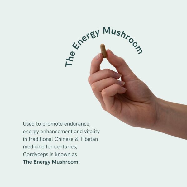 suplemento cápsulas cordyceps energía resistencia 120 unidades