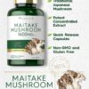 Suplemento de cápsulas de hongo Maitake sin gluten Carlyle