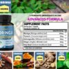 Suplemento cápsulas Moringa Ashwagandha Tulsi