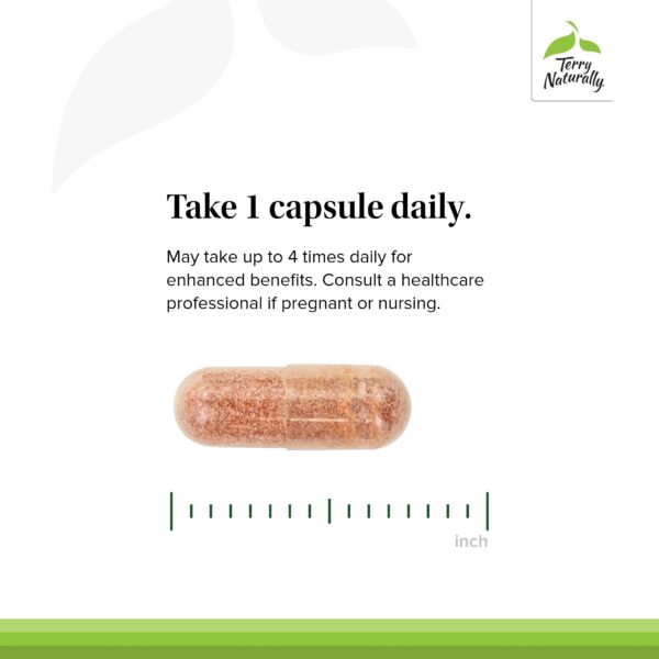 Suplemento cardiovascular y apoyo inmunológico Terry Naturally OPC
