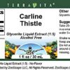 Suplemento Cardo Carlino glicerita TerraVita