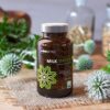 Suplemento cardo mariano para limpieza y protección del hígado