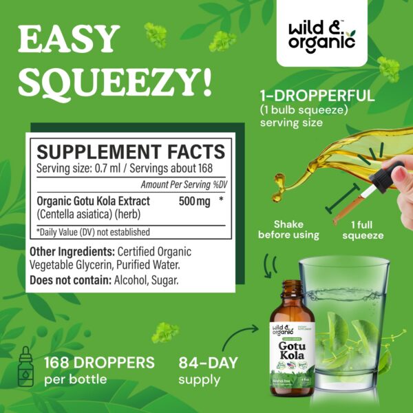 Version 1.0.0 Suplemento de Centella Asiática para apoyo cerebral y enfoque