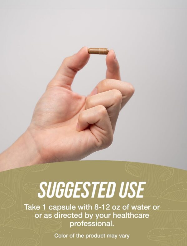 Suplemento champiñón blanco BulkSupplements para salud y vitalidad