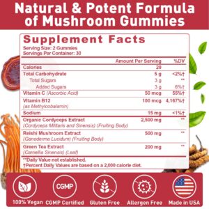 Suplemento de champiñones naturales 60 unidades Mezqai