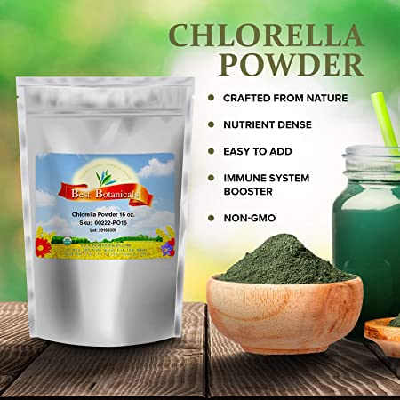 Suplemento de chlorella orgánico en polvo para nutrición