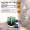 Version 1.0.0 Suplemento de clorofila líquida Trace Minerals para salud digestiva