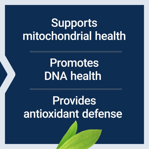 Suplemento de clorofilina Life Extension para protección celular