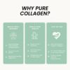 Suplemento colágeno y espirulina para metabolismo y energía