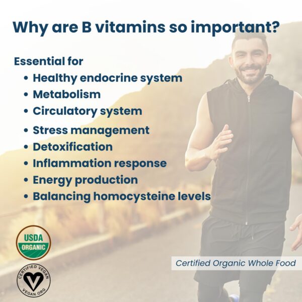 Suplemento complejo B orgánico con probióticos PINE HILL FARM