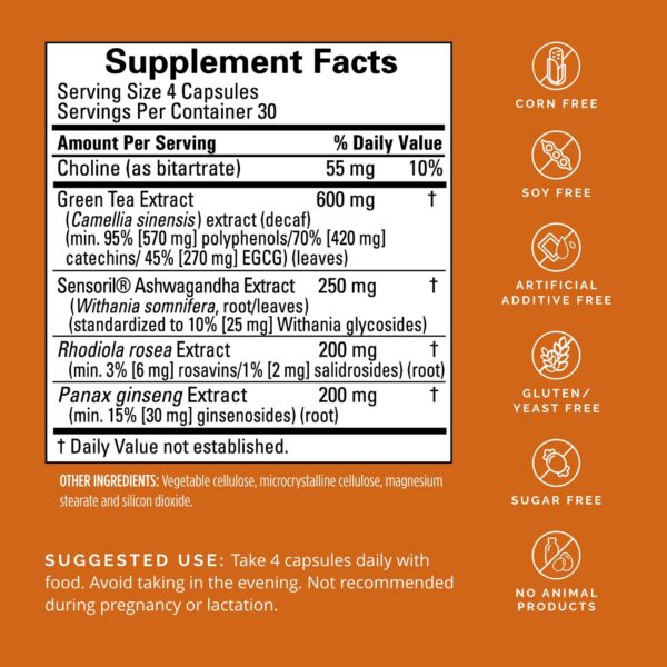 Version 1.0.0 Suplemento para concentración y energía mental BrainMD Focus & Energy