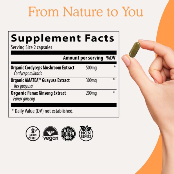 Detalle del suplemento cordyceps Real Mushrooms