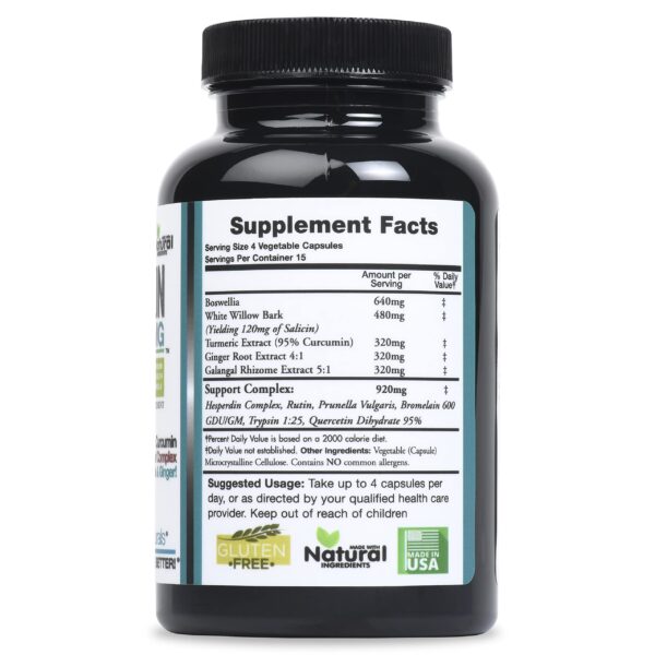 Version 1.0.0 Suplemento cúrcuma curcuminoides y jengibre para salud