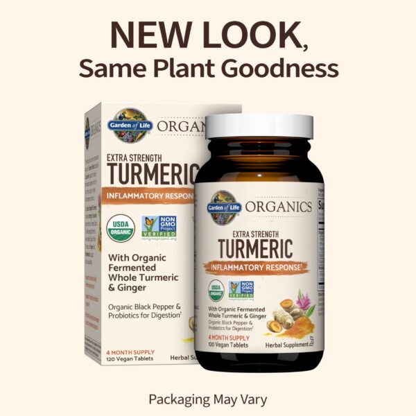 Version 1.0.0 Suplemento cúrcuma fermentada y extracto de jengibre orgánico
